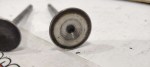 40549 image