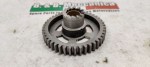 40587 image