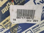 40597 image