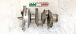 40670 image