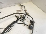 41135 image