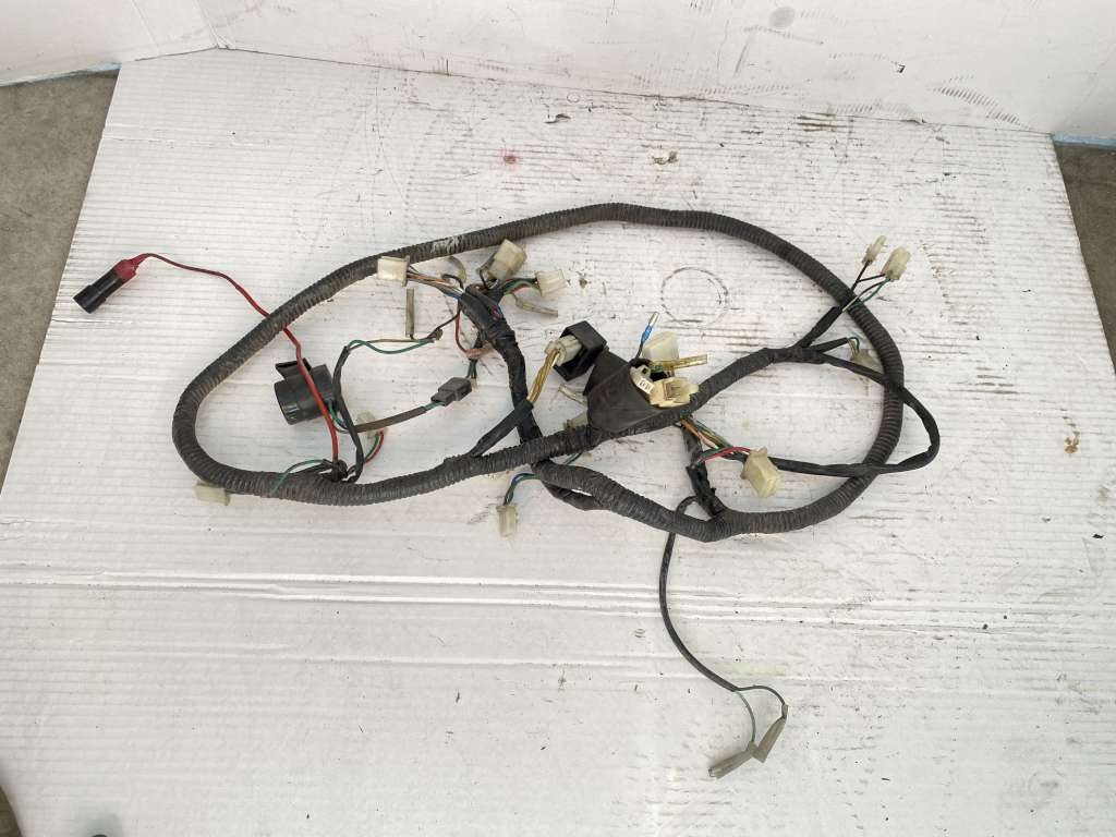 41294 image