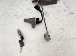 41300 image