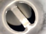 41301 image