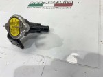 41776 image
