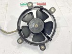 41787 image