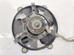 41787 image