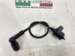 41998 image