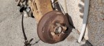 42007 image