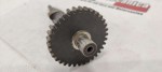 42297 image