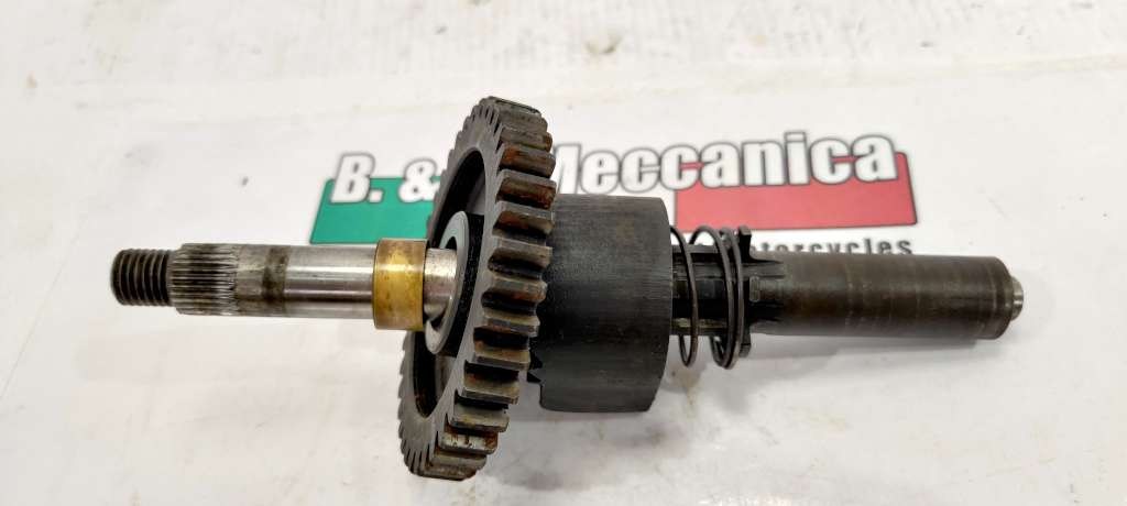 42300 image