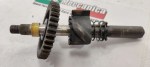 42300 image