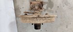43052 image