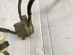 43884 image