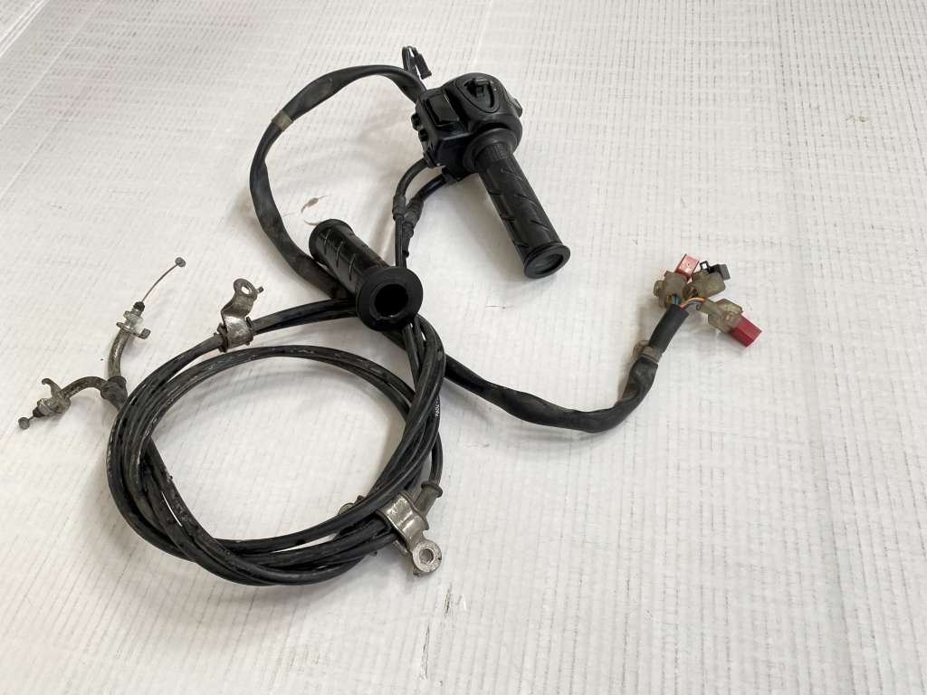 44550 image