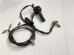 44550 image