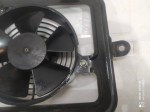 47095 image