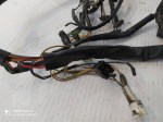 47799 image