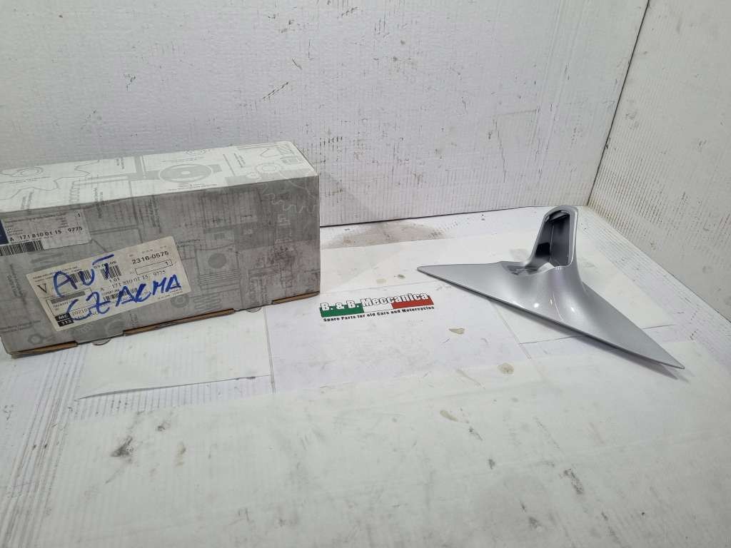 49049 image
