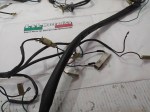49438 image