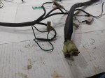 49438 image