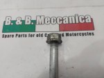 49494 image