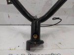 49594 image