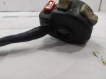 49595 image