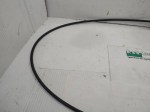 49598 image