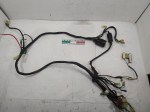 49607 image