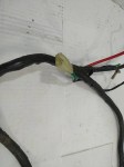 49607 image