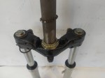 49609 image