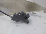 49615 image