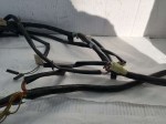 50798 image