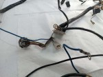 50798 image