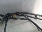 50798 image