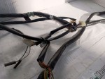 50798 image