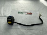 50874 image
