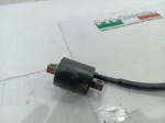 51266 image