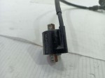 51266 image