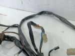 51270 image