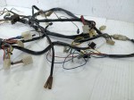51270 image