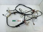 51270 image
