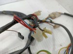 51270 image