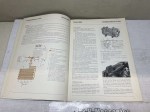 51441 image