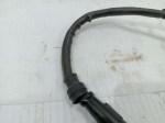 51449 image
