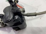 52295 image
