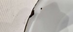 52765 image