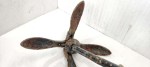 52771 image