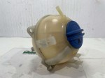 54113 image